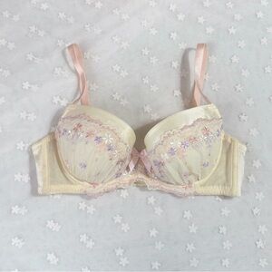 US-32C/JP-D70 Japanese Brand Cute Flowers Lace Trim Embroidered Satin Bow Bra